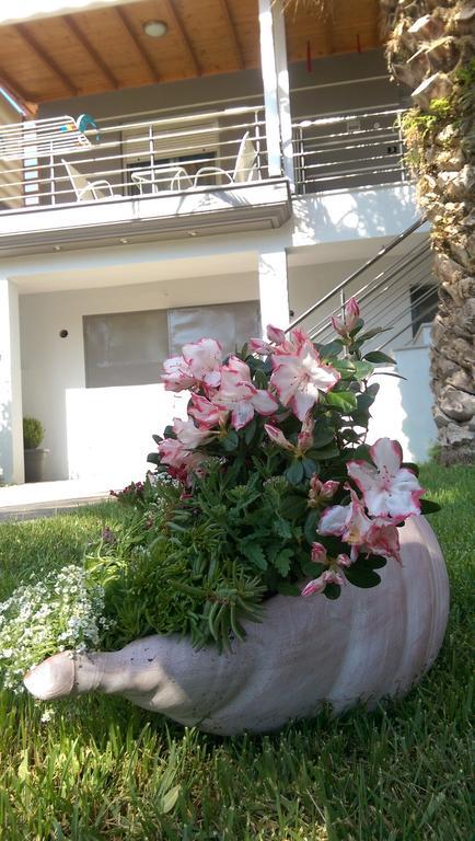Aimilias Family Apartments Vrasná Dış mekan fotoğraf